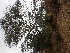  ( - TK1_E3_NMK)  @11 [ ] CreativeCommons - Attribution Non-Commercial Share-Alike (2017) Unspecified Mpala Research Centre