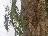  ( - TK1_E3_NMK)  @11 [ ] CreativeCommons - Attribution Non-Commercial Share-Alike (2017) Unspecified Mpala Research Centre