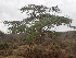  ( - TK1_E3_NMK)  @11 [ ] CreativeCommons - Attribution Non-Commercial Share-Alike (2017) Unspecified Mpala Research Centre
