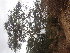  ( - TK1_E3_NMK)  @11 [ ] CreativeCommons - Attribution Non-Commercial Share-Alike (2017) Unspecified Mpala Research Centre