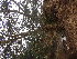  ( - TK1_E3_NMK)  @11 [ ] CreativeCommons - Attribution Non-Commercial Share-Alike (2017) Unspecified Mpala Research Centre