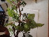  ( - TK1_E3_NMK)  @11 [ ] CreativeCommons - Attribution Non-Commercial Share-Alike (2017) Unspecified Mpala Research Centre