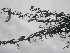  ( - TK1_E3_NMK)  @11 [ ] CreativeCommons - Attribution Non-Commercial Share-Alike (2017) Unspecified Mpala Research Centre