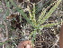  ( - TK1_E9_SI)  @11 [ ] CreativeCommons - Attribution Non-Commercial Share-Alike (2017) Unspecified Mpala Research Centre