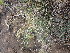  ( - TK1_E9_SI)  @11 [ ] CreativeCommons - Attribution Non-Commercial Share-Alike (2017) Unspecified Mpala Research Centre