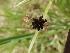  ( - TK1_H11_FIELD)  @11 [ ] CreativeCommons - Attribution Non-Commercial Share-Alike (2017) Unspecified Mpala Research Centre