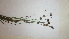  ( - TK1_H11_FIELD)  @11 [ ] CreativeCommons - Attribution Non-Commercial Share-Alike (2017) Unspecified Mpala Research Centre