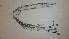  ( - TK1_H11_FIELD)  @11 [ ] CreativeCommons - Attribution Non-Commercial Share-Alike (2017) Unspecified Mpala Research Centre