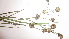  ( - TK1_H11_FIELD)  @11 [ ] CreativeCommons - Attribution Non-Commercial Share-Alike (2017) Unspecified Mpala Research Centre