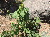  ( - TK2_C2_MRC)  @11 [ ] CreativeCommons - Attribution Non-Commercial Share-Alike (2017) Unspecified Mpala Research Centre