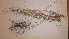  ( - TK2_H2_FIELD)  @11 [ ] CreativeCommons - Attribution Non-Commercial Share-Alike (2017) Unspecified Mpala Research Centre