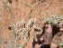  ( - TK2_D4_FIELD)  @11 [ ] CreativeCommons - Attribution Non-Commercial Share-Alike (2017) Unspecified Mpala Research Centre