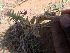 ( - TK2_D4_FIELD)  @11 [ ] CreativeCommons - Attribution Non-Commercial Share-Alike (2017) Unspecified Mpala Research Centre