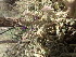  ( - TK2_D4_FIELD)  @11 [ ] CreativeCommons - Attribution Non-Commercial Share-Alike (2017) Unspecified Mpala Research Centre