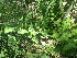  ( - TK2_D5_FIELD)  @11 [ ] CreativeCommons - Attribution Non-Commercial Share-Alike (2017) Unspecified Mpala Research Centre