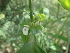  ( - TK2_D5_FIELD)  @11 [ ] CreativeCommons - Attribution Non-Commercial Share-Alike (2017) Unspecified Mpala Research Centre