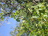  ( - TK2_E6_FIELD)  @11 [ ] CreativeCommons - Attribution Non-Commercial Share-Alike (2017) Unspecified Mpala Research Centre