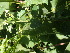  ( - TK2_E6_FIELD)  @11 [ ] CreativeCommons - Attribution Non-Commercial Share-Alike (2017) Unspecified Mpala Research Centre