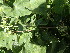  ( - TK2_E6_FIELD)  @11 [ ] CreativeCommons - Attribution Non-Commercial Share-Alike (2017) Unspecified Mpala Research Centre