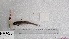  ( - BHI-3)  @11 [ ] C (2024) Deepali Sangale Tuljaram Chaturchand College Of Arts, Science & Commerce, Baramati, Pune (MS)