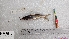  ( - DAL-2)  @11 [ ] C (2024) Deepali Sangale Tuljaram Chaturchand College Of Arts, Science & Commerce, Baramati, Pune (MS)