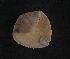  ( - NHMUK013265647)  @11 [ ] Unspecified (default): All Rights Reserved  Ben W Price Natural History Museum, London