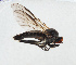  ( - NHMUK014111543)  @11 [ ] Unspecified (default): All Rights Reserved  Ben W Price Natural History Museum, London