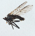  ( - NHMUK014111543)  @11 [ ] Unspecified (default): All Rights Reserved  Ben W Price Natural History Museum, London