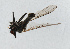  ( - NHMUK014111543)  @11 [ ] Unspecified (default): All Rights Reserved  Ben W Price Natural History Museum, London