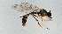  ( - NHMUK014111570)  @11 [ ] Unspecified (default): All Rights Reserved  Ben W Price Natural History Museum, London