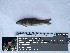  ( - ULVSP17)  @11 [ ] Unspecified (default): All Rights Reserved  Unspecified Unspecified