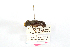  ( - CCDB32177-E10)  @11 [ ] Copyright (2019) Unspecified Universite Saint-Joseph