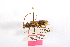  ( - CCDB32177-A09)  @11 [ ] Copyright (2019) Unspecified Universite Saint-Joseph