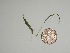  ( - ENT17)  @11 [ ] Unspecified (default): All Rights Reserved  Unspecified Unspecified