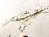  ( - GWS006028)  @11 [ ] Unspecified (default): All Rights Reserved  Unspecified Unspecified