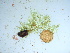  ( - GWS036839)  @11 [ ] Unspecified (default): All Rights Reserved  Unspecified Unspecified