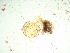  ( - GWS037818)  @11 [ ] Unspecified (default): All Rights Reserved  Unspecified Unspecified