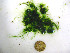  ( - GWS037969)  @11 [ ] Unspecified (default): All Rights Reserved  Unspecified Unspecified