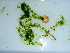  ( - GWS039307)  @11 [ ] Unspecified (default): All Rights Reserved  Unspecified Unspecified