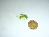  ( - GWS039514)  @11 [ ] Unspecified (default): All Rights Reserved  Unspecified Unspecified