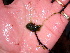  ( - GWS041571)  @11 [ ] Unspecified (default): All Rights Reserved  Unspecified Unspecified
