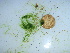  ( - GWS042597)  @11 [ ] Unspecified (default): All Rights Reserved  Unspecified Unspecified