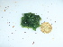  ( - GWS043704)  @11 [ ] Unspecified (default): All Rights Reserved  Unspecified Unspecified