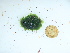  ( - GWS043706)  @11 [ ] Unspecified (default): All Rights Reserved  Unspecified Unspecified