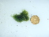  ( - GWS043751)  @11 [ ] Unspecified (default): All Rights Reserved  Unspecified Unspecified