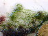  ( - GWS045032)  @11 [ ] Unspecified (default): All Rights Reserved  Unspecified Unspecified