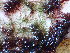  ( - GWS045046)  @11 [ ] Unspecified (default): All Rights Reserved  Unspecified Unspecified