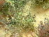  ( - GWS045138)  @11 [ ] Unspecified (default): All Rights Reserved  Unspecified Unspecified