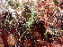 ( - GWS047156)  @11 [ ] Unspecified (default): All Rights Reserved  Unspecified Unspecified