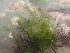  ( - GWS047165)  @11 [ ] Unspecified (default): All Rights Reserved  Unspecified Unspecified